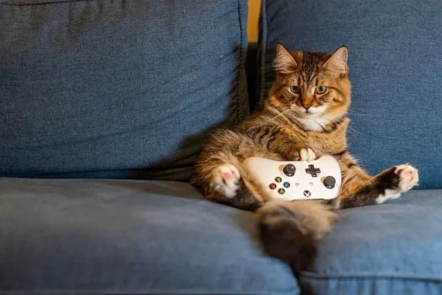 5 powodów, dla których warto zagrać w nowe gry na PC